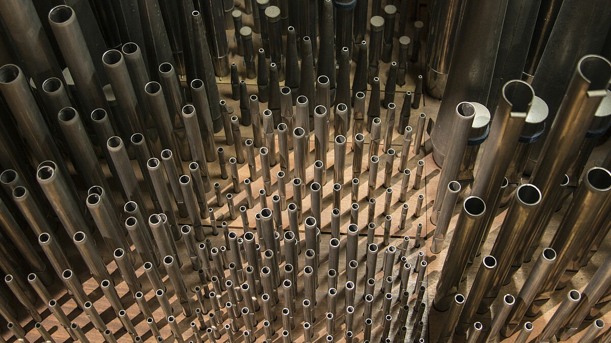 Die Orgelpfeifen der Schleswiger Domorgel sind für die Reinigung aufgereiht